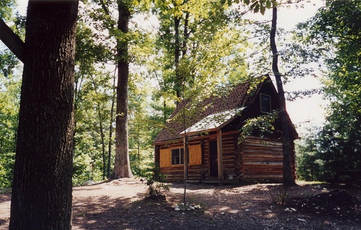 Afton Log Cabin Get-Away